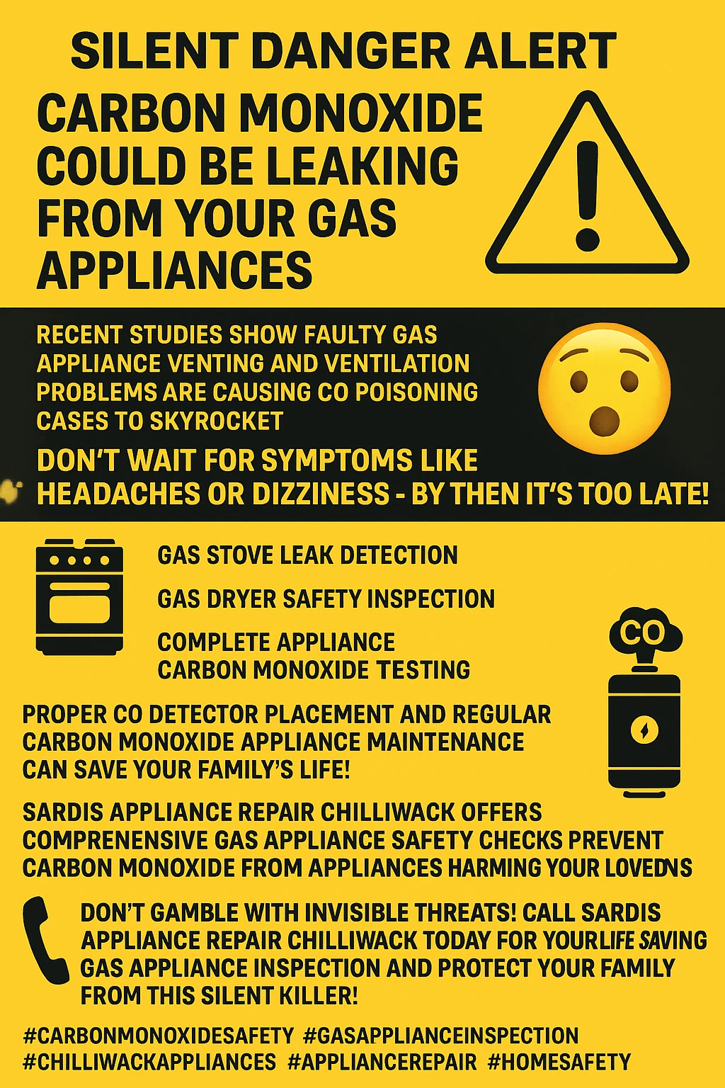 Infographic summarizing gas appliance carbon monoxide leak dangers in Chiliwack