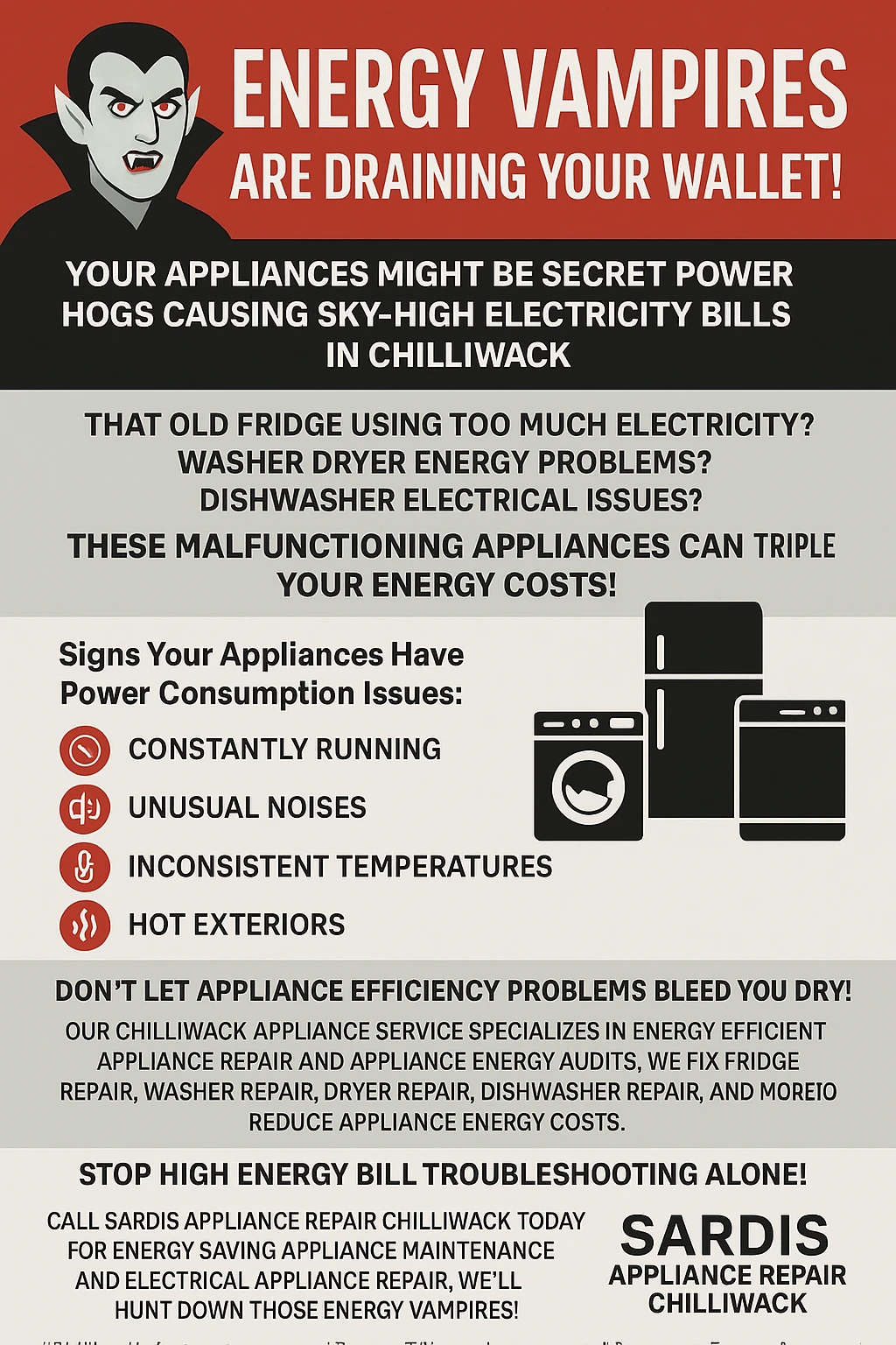 Infographic showing key takeaways for appliance energy problems in Chilliwack